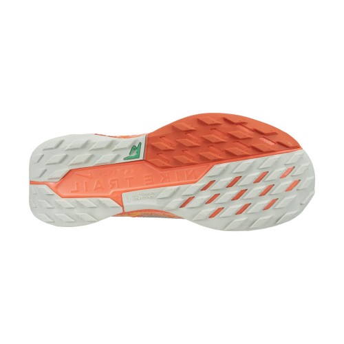 WMNS PEGASUS TRAIL 5 GTX